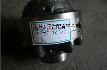 199014320166-1,差速器總成,濟(jì)南瑞萊特汽車(chē)零部件有限公司