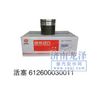 活塞612600030011/612600030011