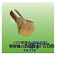 AZ9725520260,直徑22V推螺絲（80長(zhǎng)20牙）,晉江新興螺絲有限公司