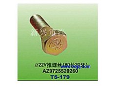 AZ9725520260,直徑22V推螺絲（80長(zhǎng)20牙）,晉江新興螺絲有限公司