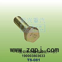 190003803633,￠12發(fā)動機(jī)膠墊螺絲45長,晉江新興螺絲有限公司