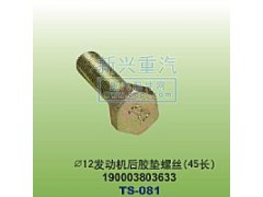190003803633,￠12發(fā)動機(jī)膠墊螺絲45長,晉江新興螺絲有限公司