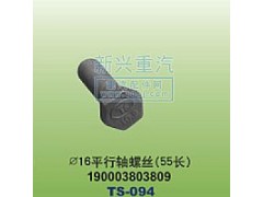 190003803809,￠16平行軸螺絲55長,晉江新興螺絲有限公司