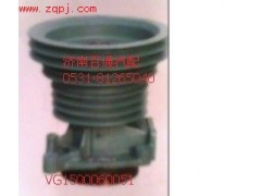 VG1500060051,VG0051水泵,濟(jì)南百通重型汽車配件中心