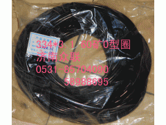 TZ56077000143,輪邊O型圈,濟南盛康汽車配件有限公司