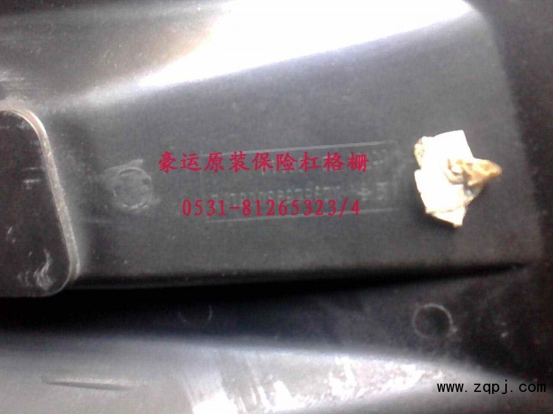 NZ9525930051,保險(xiǎn)杠格柵,濟(jì)南隆旭汽車配件有限公司