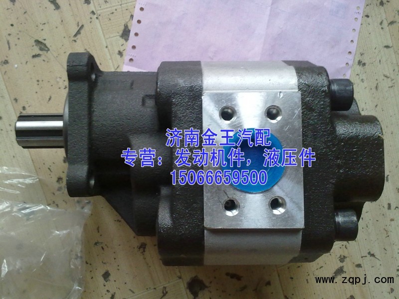 供應(yīng)齒輪油泵，齒輪泵，液壓泵CBHBD-F100H8，H6/CBHBD-F100H8，H6
