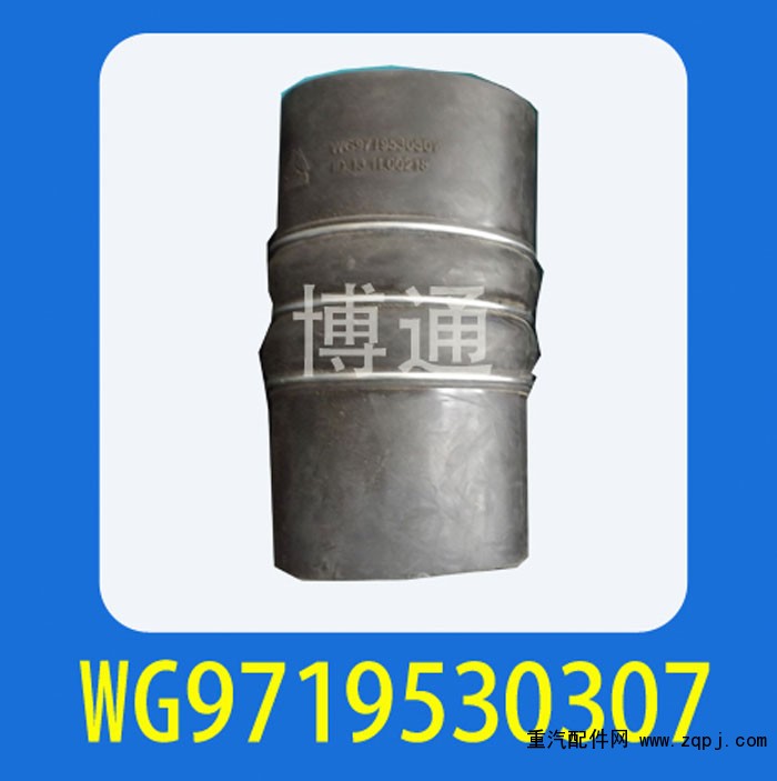 WG9719530307,,濟(jì)南博通重汽備件庫(kù)