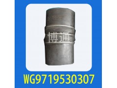 WG9719530307,,濟(jì)南博通重汽備件庫(kù)