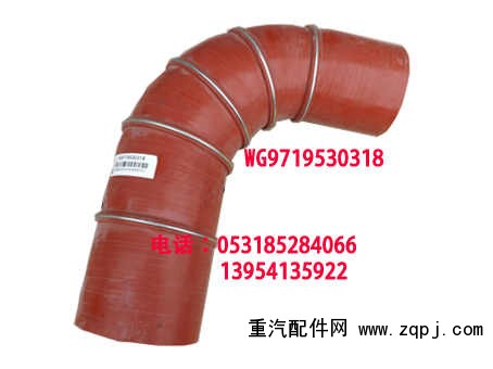 WG9719530318/WG9719530318