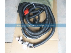 VG1246090032A,發(fā)動(dòng)機(jī)線束,濟(jì)南佑豐經(jīng)貿(mào)有限公司（原鎬煜）