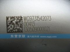 WG9731542073,,東營(yíng)京聯(lián)汽車(chē)銷(xiāo)售服務(wù)有限公司