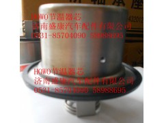 VG1500061202,HOWO節(jié)溫器芯（80度）,濟(jì)南盛康汽車配件有限公司