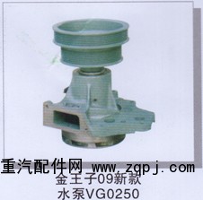 ,金王子09新款水泵VG0250,濟南潤達重型汽車配件