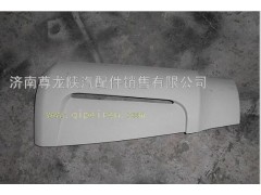 DZ13241870012,陜汽德龍F3000原裝導風罩外板,濟南尊龍(原天盛)陜汽配件銷售有限公司