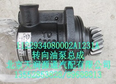 轉(zhuǎn)向油泵總成/1122934080002A1231A