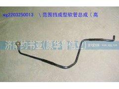 WG2203250013,范圍擋成型軟管總成(高擋),濟南約書亞汽車配件有限公司（原華魯信業(yè)）