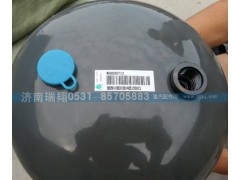 WG9000360712,儲(chǔ)氣筒總成雙腔,濟(jì)南嘉磊汽車配件有限公司(原濟(jì)南瑞翔)