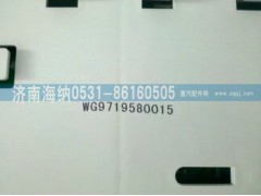 WG9719580015,組合儀表,濟南海納汽配有限公司