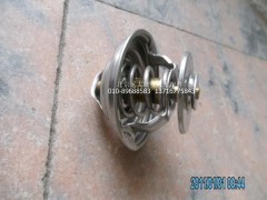 61800060172,節(jié)溫器,北京遠大歐曼汽車配件有限公司