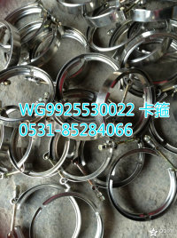 WG9925530022  強力卡箍/WG9925530022