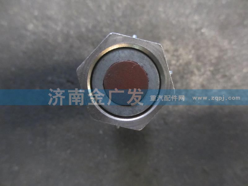 DZ9100586212,接近開關,濟南金廣發(fā)商貿有限公司
