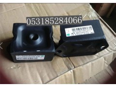 WG9770591001,發(fā)動(dòng)機(jī)前支撐總成,濟(jì)南博通重汽備件庫
