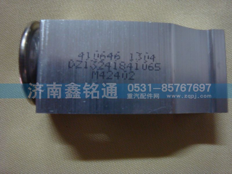 陜汽德龍F(tuán)3000環(huán)?？趭W龍13膨脹閥/DZ13241841065