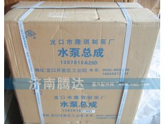 1307010A29D,水泵總成,濟(jì)南錦陽(yáng)汽配有限公司（原騰達(dá)）