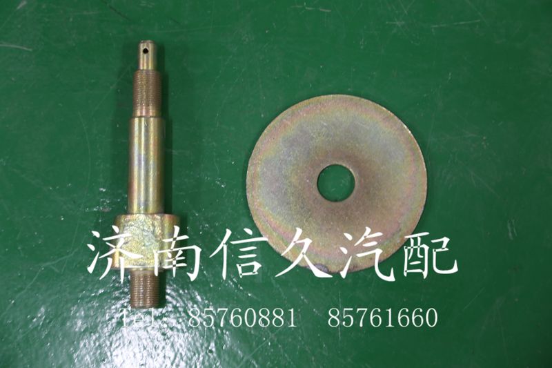 扁軸199012820031/199012820031