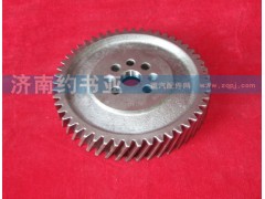 VG14050053,凸輪軸正時齒輪,濟南約書亞汽車配件有限公司（原華魯信業(yè)）