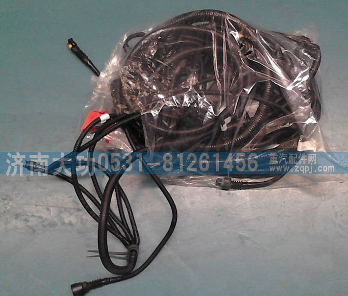 重汽杭發(fā)VG1238090102發(fā)動機線束/VG1238090102