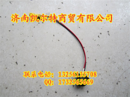 重汽斯太爾，豪沃,金王子08熄火開關(guān)WG9725716001/08款熄火開關(guān)WG9725716001