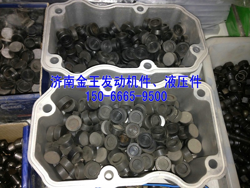 氣門帽61500050105  4.6mm厚/61500050105