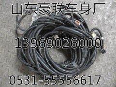 DZ91259775608,底盤線束,山東豪聯(lián)車身制造廠