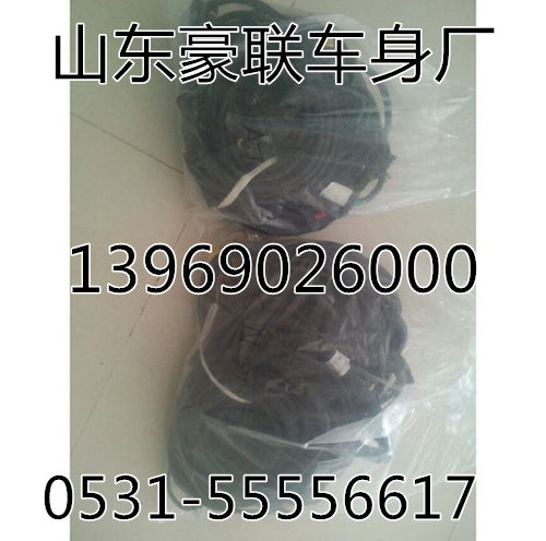 ,重汽天然氣發(fā)動(dòng)機(jī)線束,山東豪聯(lián)車(chē)身制造廠