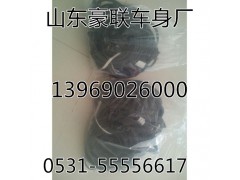 ,重汽天然氣發(fā)動(dòng)機(jī)線束,山東豪聯(lián)車(chē)身制造廠