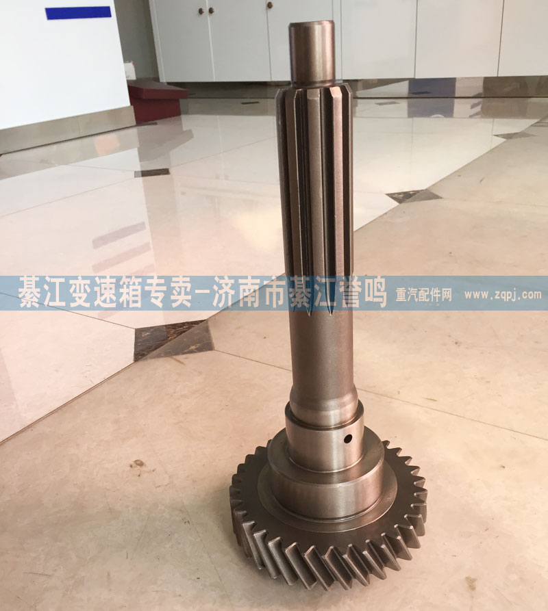 2159302059,一軸,綦江變速箱專賣-濟南市綦江譽鳴汽配商行