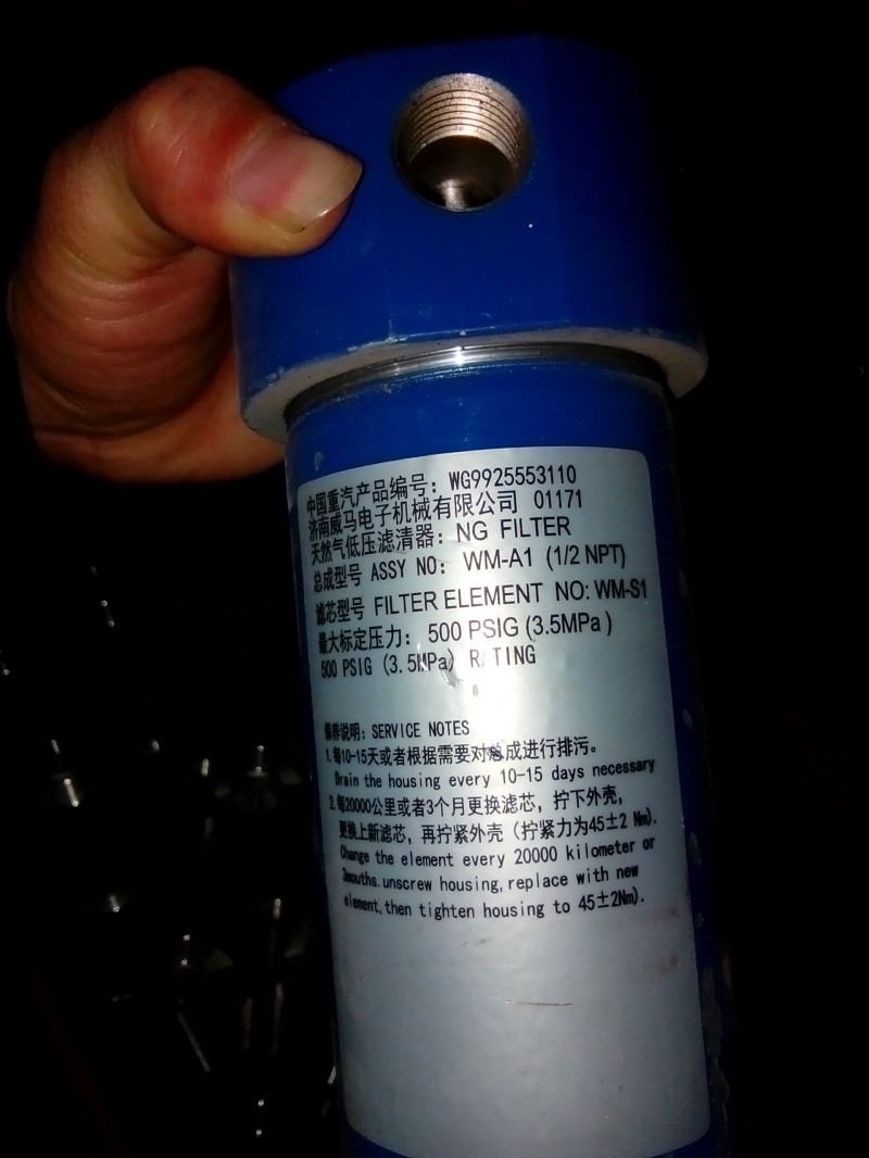 WG9925553110天然氣過濾器/WG9925553110