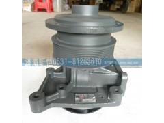 612600061603,濰柴發(fā)動機水泵總成,濟南昕愷汽車配件有限公司（濟南宏偉泵業(yè)）