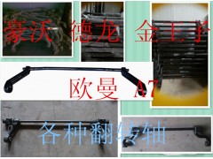 AZ1642430219,豪沃 德龍 翻轉(zhuǎn)杠,濟(jì)南固德汽車(chē)配件有限公司--原隆達(dá)
