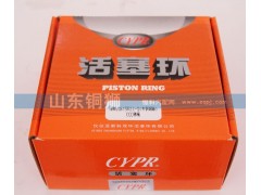 WD615歐II-D,活塞環(huán),山東銅獅汽車零部件有限公司