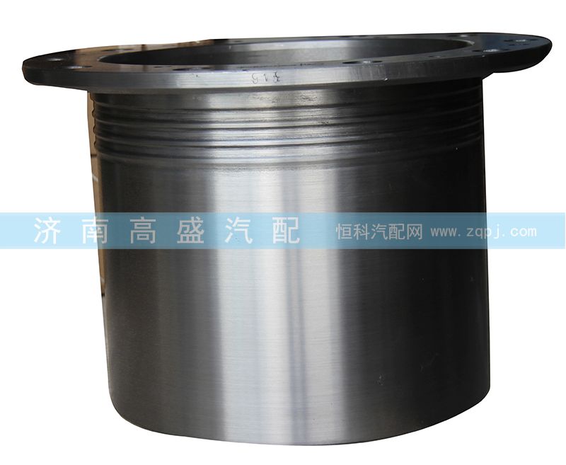199114320009,輪邊總成,濟南高盛重汽配件銷售公司