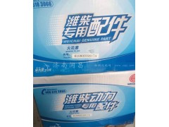610800190174,火花塞 博世進(jìn)口雙銥金,濟(jì)南路泰汽配有限公司