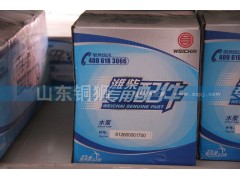 612600061700,濰柴動力專用配件水泵,山東銅獅汽車零部件有限公司