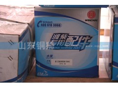 612600061941,濰柴動(dòng)力專用配件水泵,山東銅獅汽車零部件有限公司