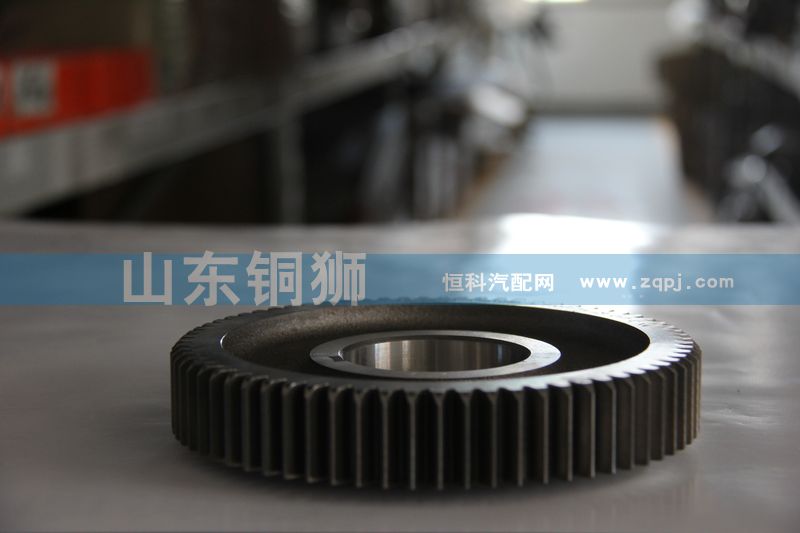 中間軸傳動(dòng)齒輪12JS200T-1701056/12JS200T-1701056