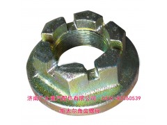 179000320013,斯太爾角齒螺母 貫通軸螺母,濟(jì)南鑫巨鼎汽車配件有限公司