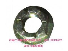 179000320013,斯太爾角齒螺母 貫通軸螺母,濟(jì)南鑫巨鼎汽車配件有限公司