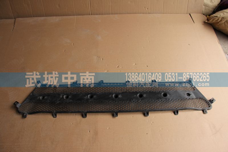 WG1664110061,前面罩網(wǎng)A7,濟(jì)南武城重型車外飾件廠